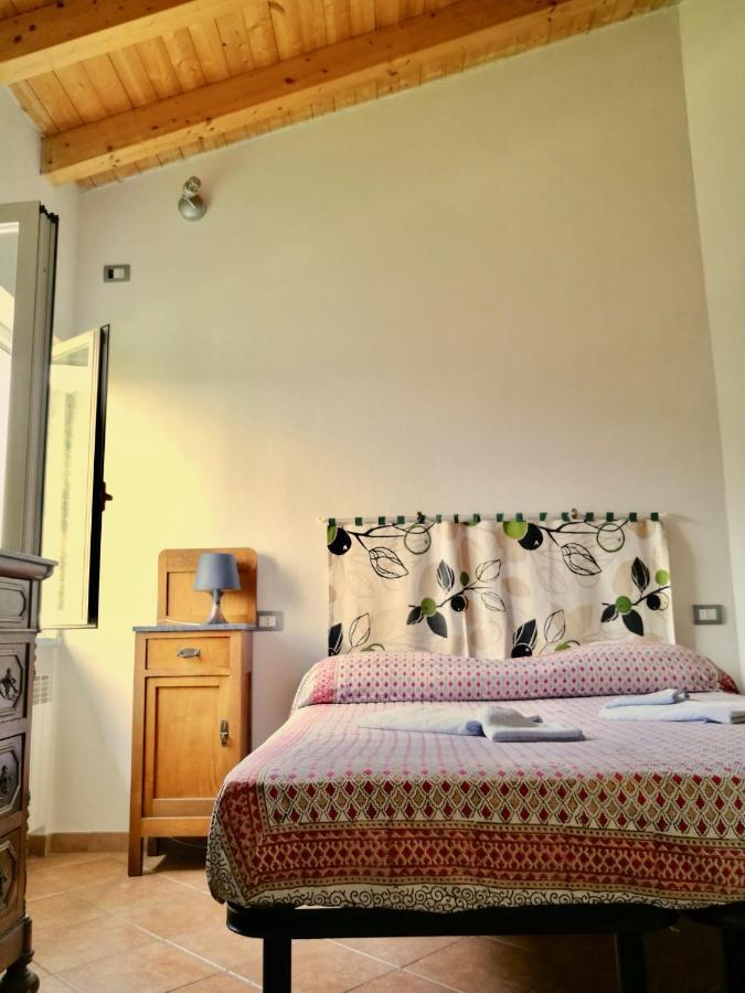 B&B Quincas Berro D'Agua 렉코 외부 사진