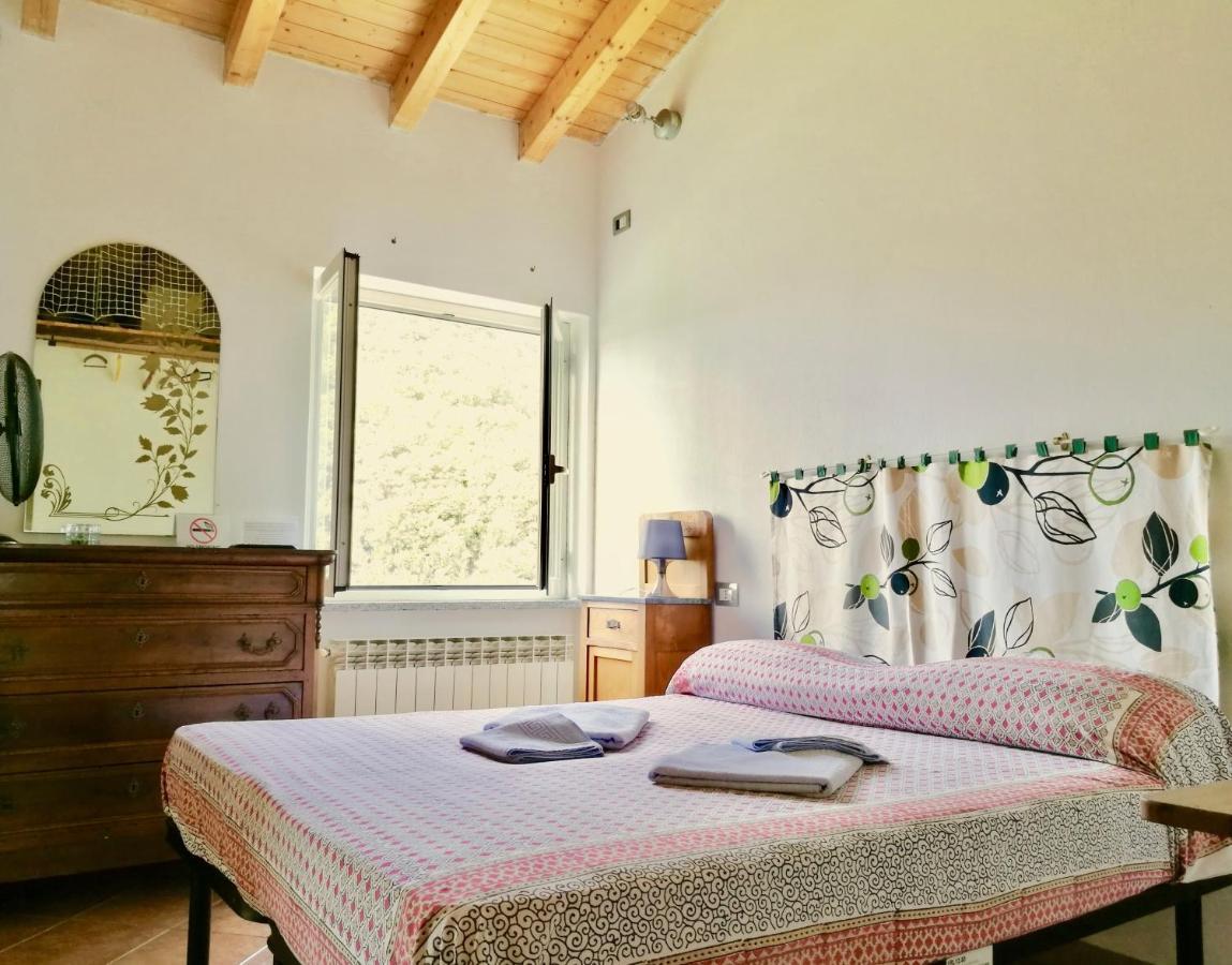 B&B Quincas Berro D'Agua 렉코 외부 사진